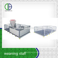 Levantando o equipamento Pig Weaning Stall Livestock Piglet Nursery Crate